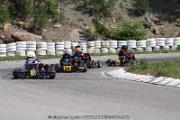20110501_ales_agnus (3395)